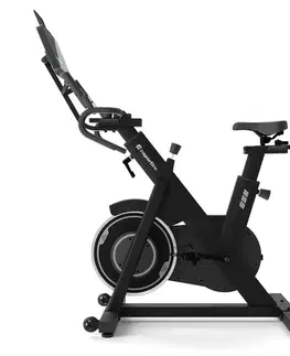inSPORTline ZenRoute 300
