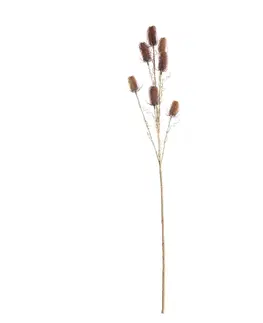 Dekoria Bodliak ozdobný 110cm red beige, 5 x 5 x 110 cm