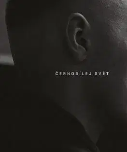 Sheen Viktor - Černobílej svět CD - Viktor Sheen