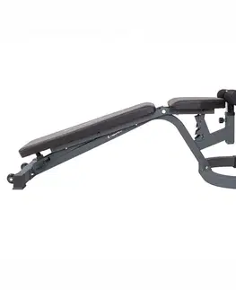inSPORTline Profi Sit up bench