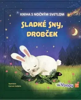 Sladké sny, drobček - kniha s nočným svetlom