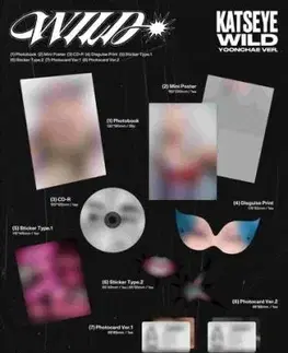 Katseye - Wild (Yoonchaye Version) CD - Katseye