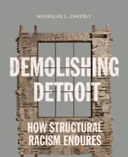 Demolishing Detroit - Nicholas L. Caverly
