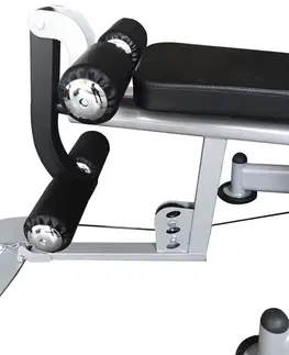inSPORTline Profigym C400