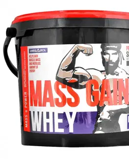 Megabol Whey Mass Gain vanilka