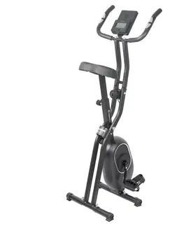 inSPORTline Xbike Lite