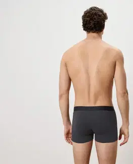 Boxerky, sivé
