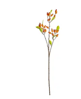 Dekoria Dekorácia z divokej ruže 70cm orange, 10 x 10 x 70 cm