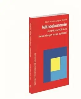 Mikroekonomie středně pokročilý kurz (2. vydání) - Robert Holman
