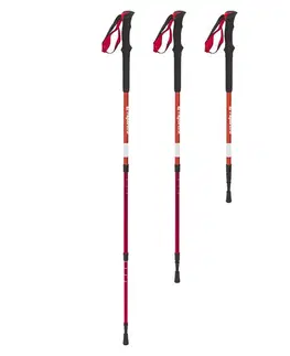 inSPORTline Altiplano 100 Pair červené
