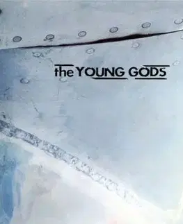Young Gods, The - T.V. Sky (30 Years Anniversary) CD - The Young Gods
