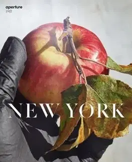 Aperture 242: New York - Aperture