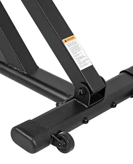 inSPORTline AB100
