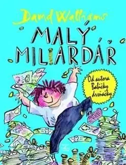 Malý miliardář - David Walliams