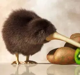 (B) 3D pohľadnica Kiwi & Kiwi