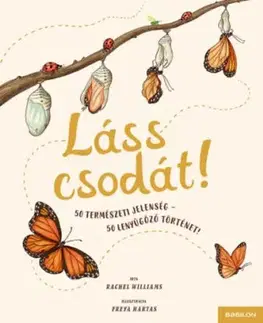 Láss csodát! - Rachel Williams