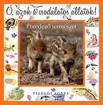 Ó, azok a csodálatos állatok! Ébredező természet - Ágnes Telegdi