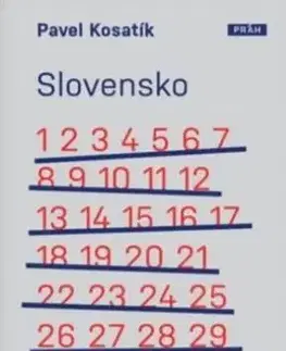 Slovensko 30 let poté - Pavel Kosatik