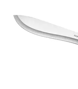 Tescoma nôž mäsiarsky HOME PROFI 20 cm