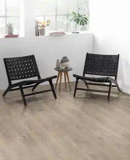 EGGER Basic 31 Dub belfort strieborný EL2637