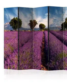 Paraván Lavender field in Provence, France Dekorhome