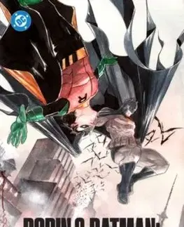Robin & Batman: Jason Todd - Dustin Nguyen, Jeff Lemire