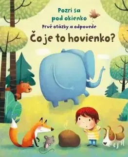 Pozri sa pod okienko - Čo je to hovienko?