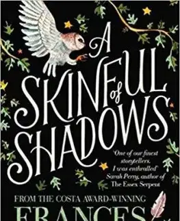 A Skinful of Shadows - Frances Hardinge