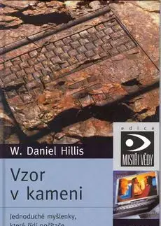Vzor v kameni - Daniel Hillis
