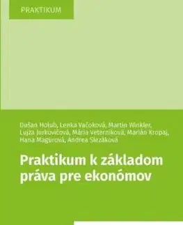 Praktikum k základom práva pre ekonómov - Dušan Holub, Lenka Vačoková, Martin Winkler