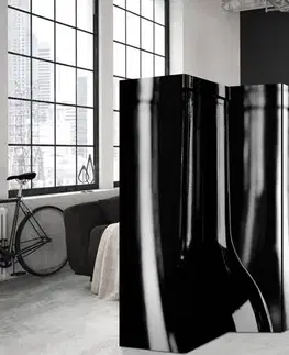 Paraván Wine Bottles Dekorhome