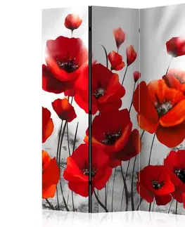 Paraván Poppies in the Moonlight Dekorhome