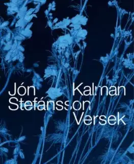 Versek - Jón Kalman Stefánsson