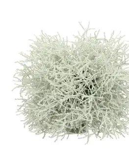 Dekoria Dekorácie Grass ⌀20cm, 20 x 20 cm