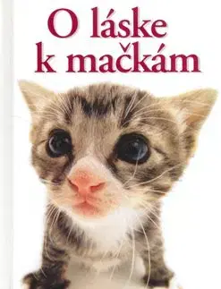 O láske k mačkám