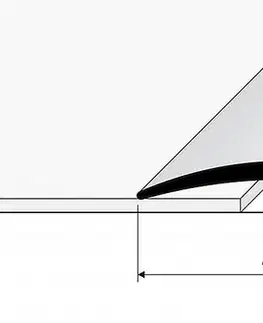 Prechodový profil 40 mm, oblý (skrutkovací) | nivelácia 0 - 6 mm Šampaň E02