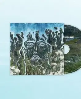 Disclosure - Energy CD - Disclosure