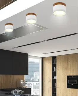 Stropné svietidlo biele/drevené LED 9W trubicové