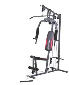 inSPORTline Profigym N10
