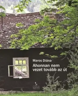 Ahonnan nem vezet tovább az út - Diána Maros