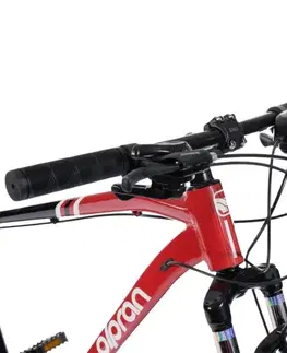 Olpran ASTACUS Man 29" mätová/čierna - 19" (170-180 cm)