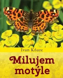 Milujem motýle - Ivan Kňaze