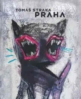 Praha - Tomáš Straka