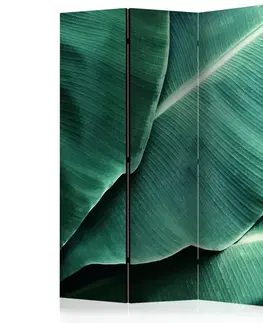 Paraván Banana Leaf Dekorhome