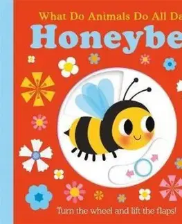 What Do Animals Do All Day?: Honeybee - Pat-A-Cake, Fhiona Galloway