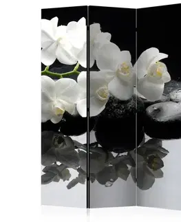 Paraván Spa, Stones and Orchid Dekorhome