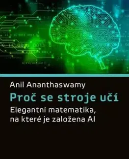 Proč se stroje učí - Anil Ananthaswamy, Ivo Magera