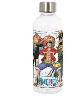 Hydro fľaša One Piece Anime