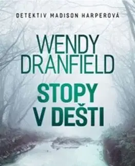 Stopy v dešti - Wendy Dranfield