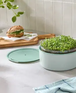 Súprava na pestovanie »Microgreens«